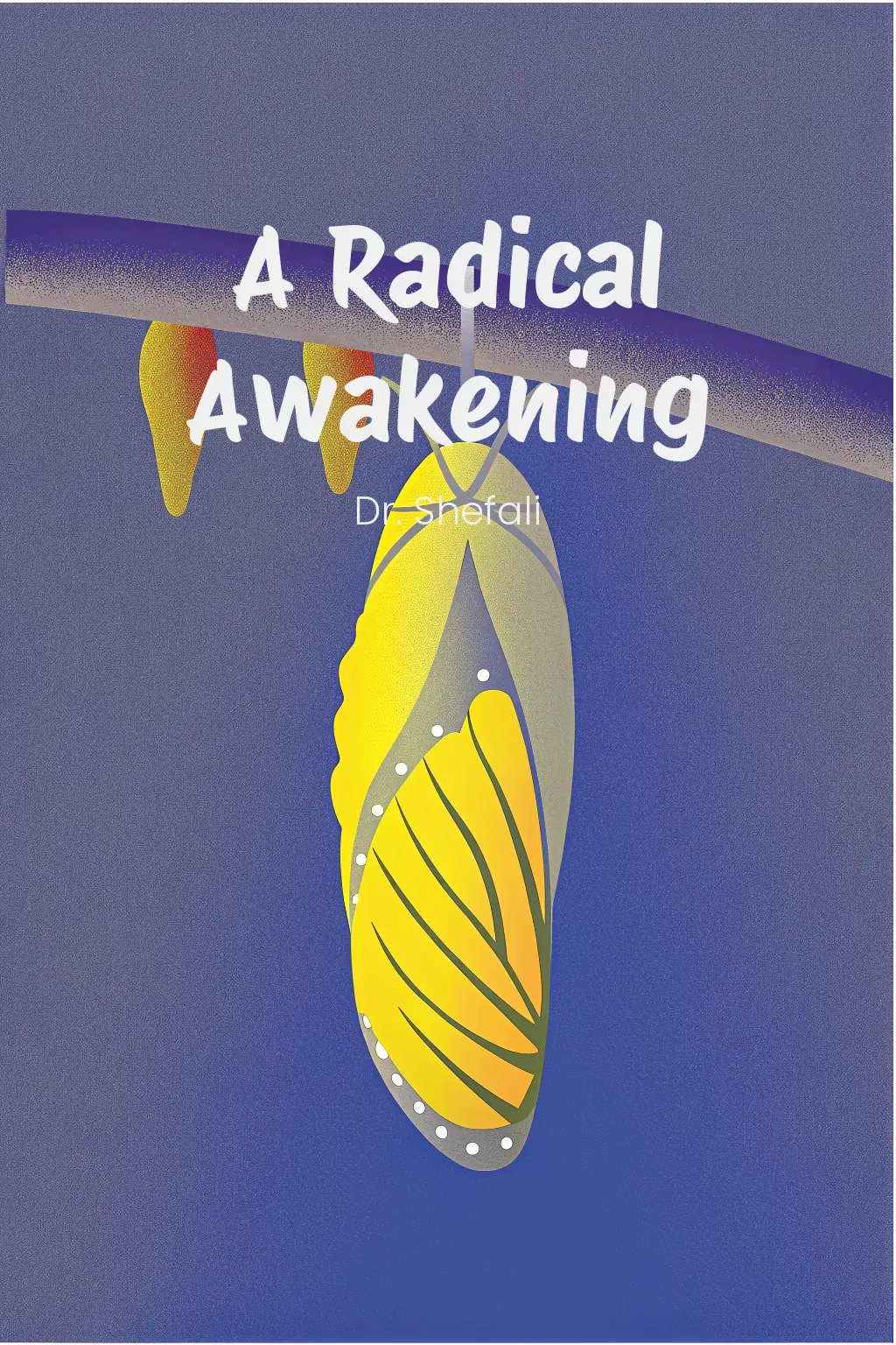 A Radical Awakening cover