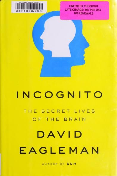 Incognito cover