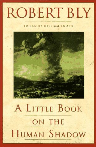 A little book on the human shadow cover