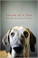 Inside of a dog cover