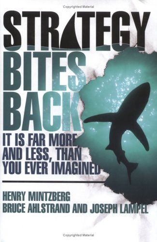 Strategy Bites Back cover