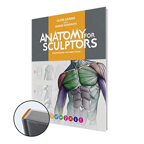 Anatomy For Sculptors, Understanding the Human Figure 封面