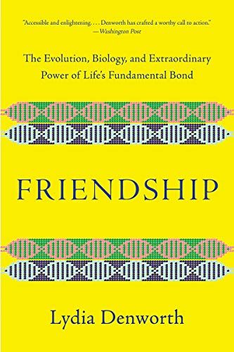 Friendship cover