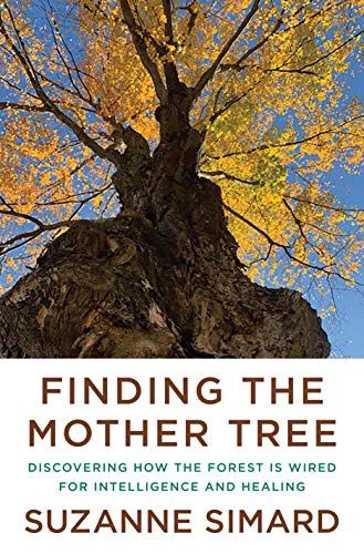 Finding the Mother Tree cover