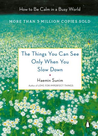 The things you can see only when you slow down cover