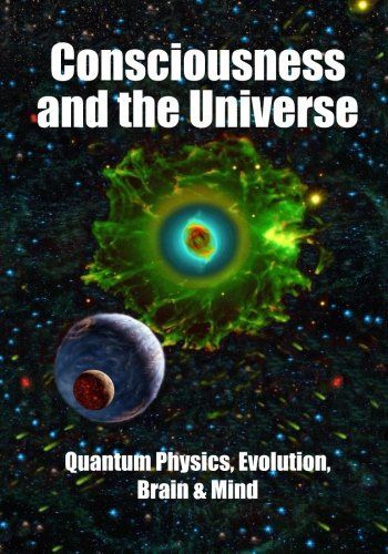 Consciousness and the Universe cover