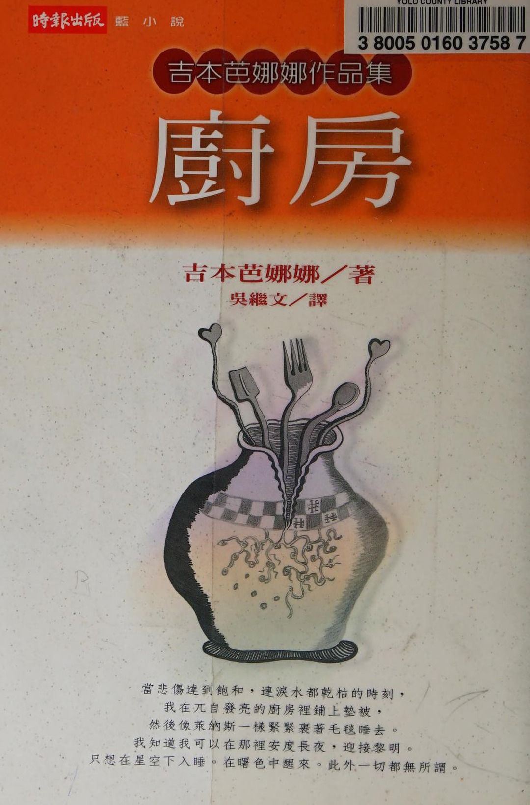 Kitchen cover