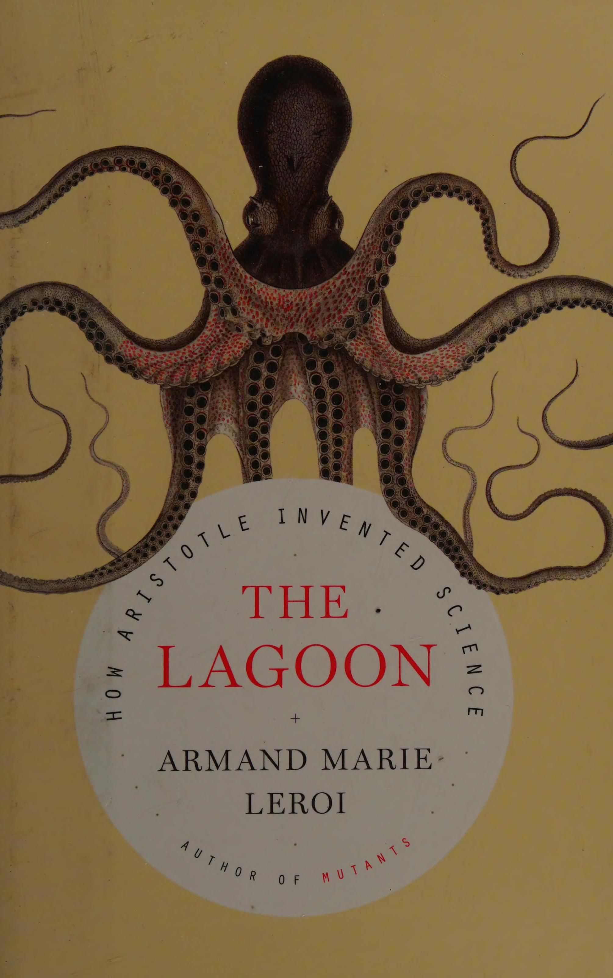 The lagoon cover