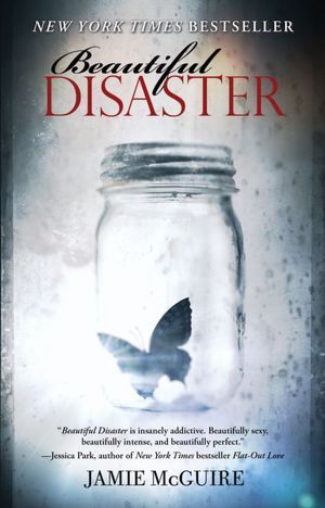Beautiful Disaster cover