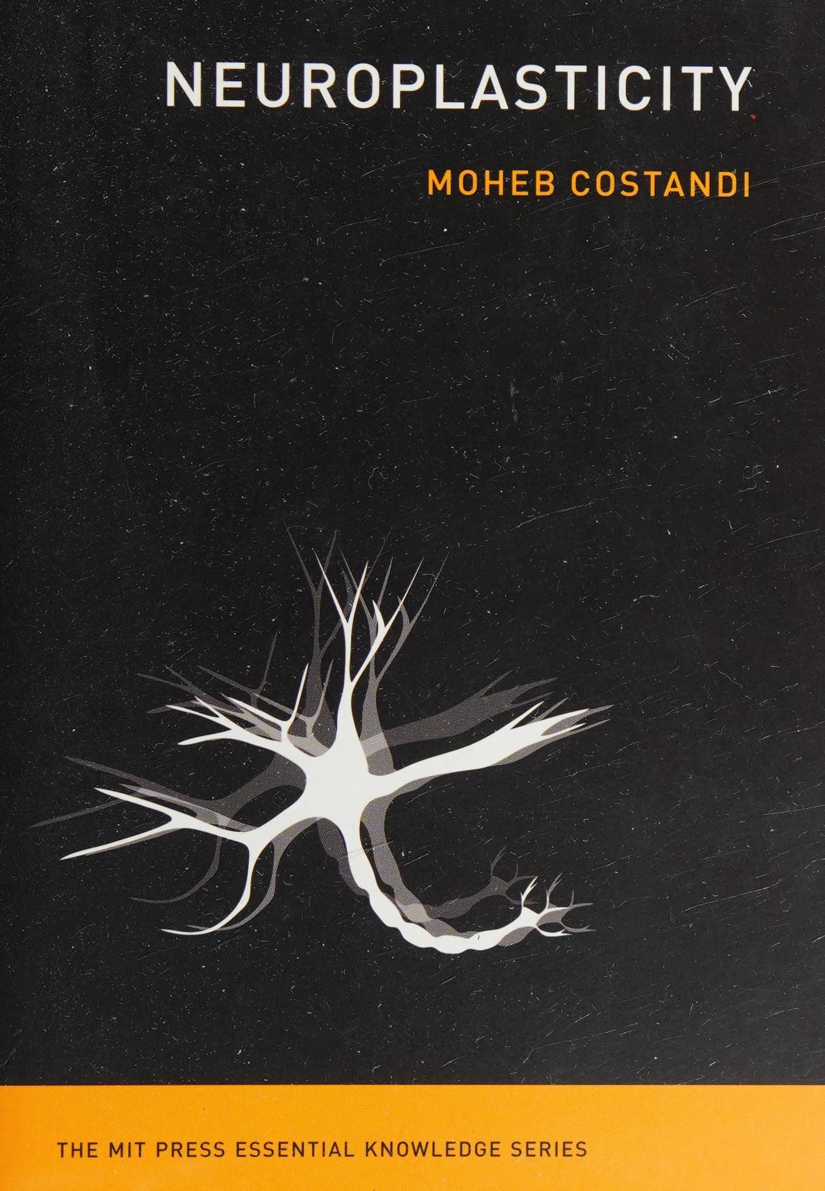 Neuroplasticity cover