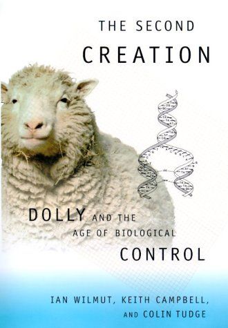 The second creation cover