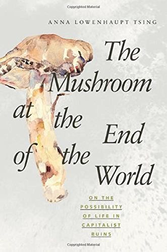 The mushroom at the end of the world cover