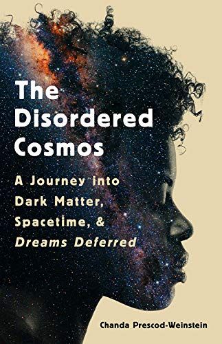 The Disordered Cosmos cover