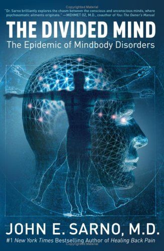 The Divided Mind cover
