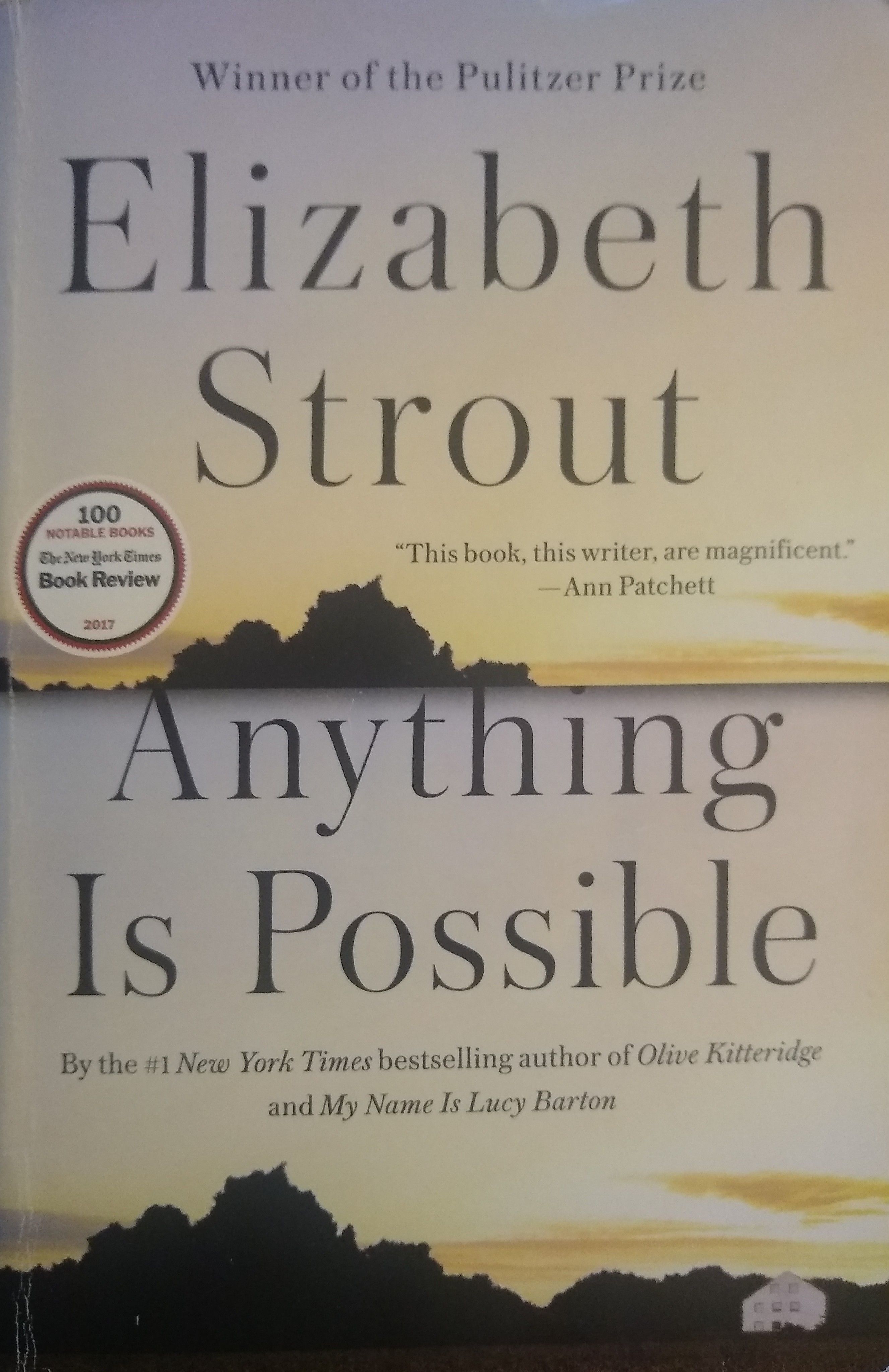 Anything is possible cover