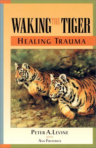 Waking the tiger cover
