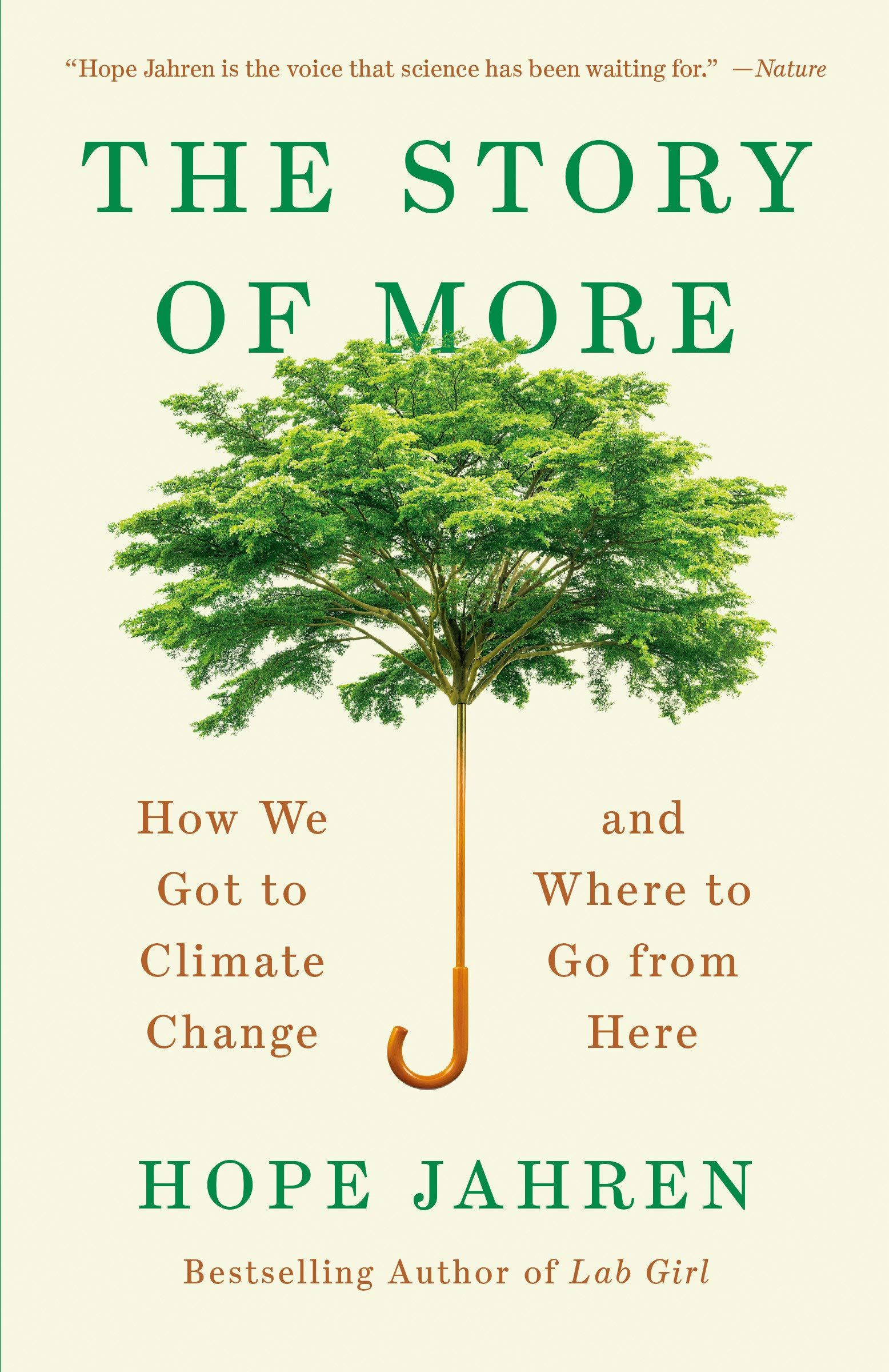 The story of more cover