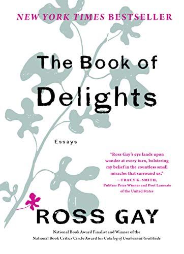 The Book of Delights cover