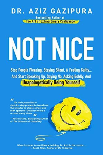 Not Nice cover