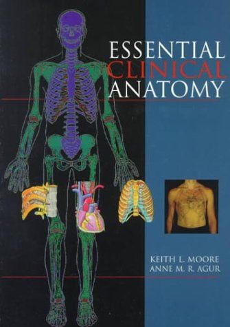 Essential clinical anatomy 封面