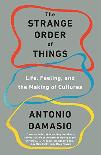 The Strange Order of Things cover