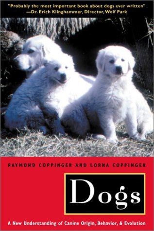 Dogs cover
