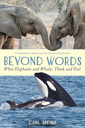 Beyond Words cover