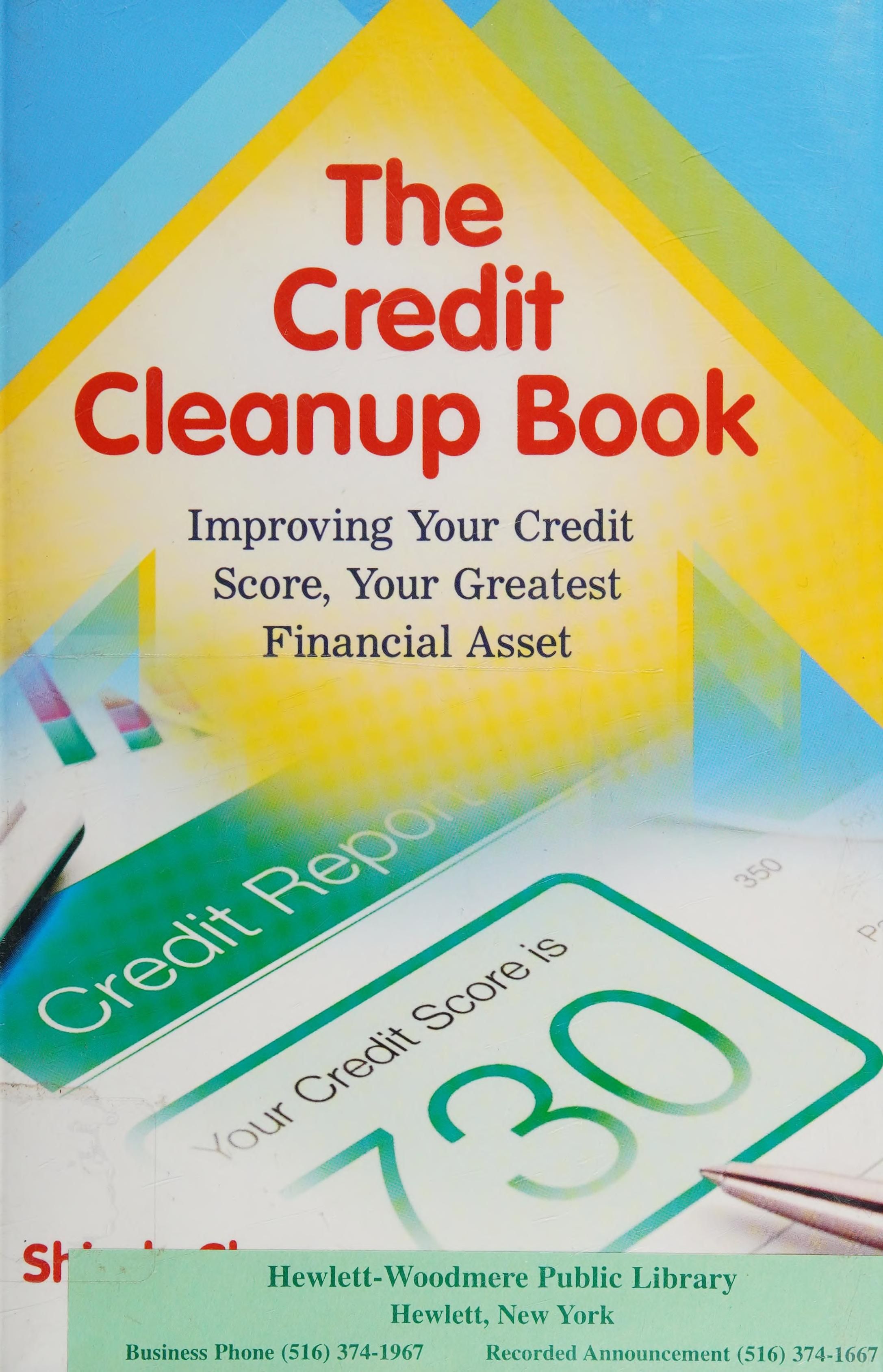 The credit cleanup book cover