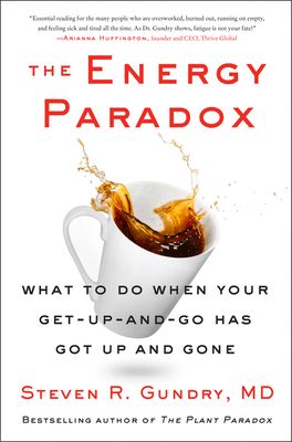 Energy Paradox cover