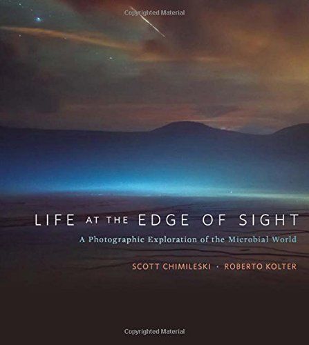 Life at the edge of sight cover