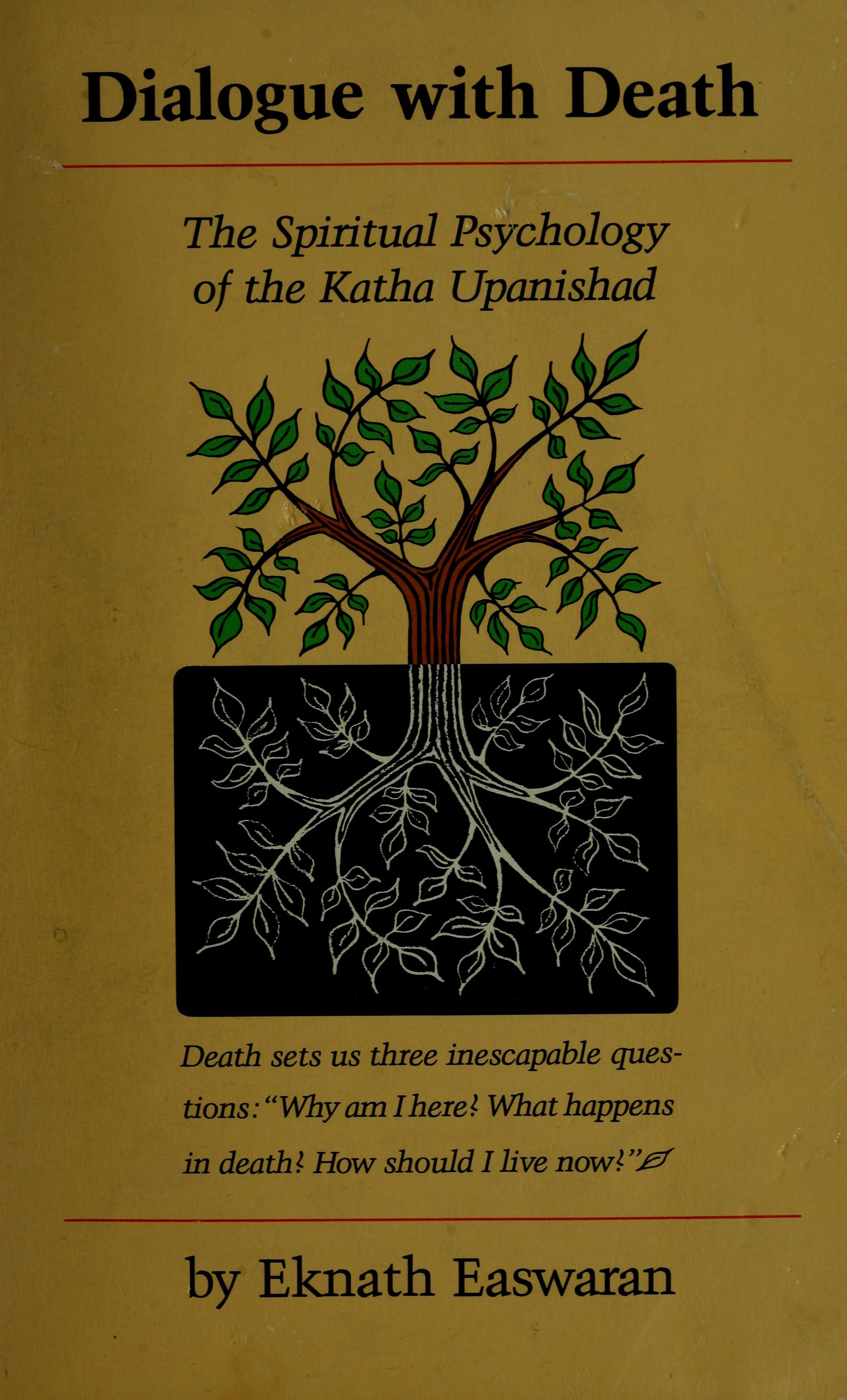 Dialogue with death cover