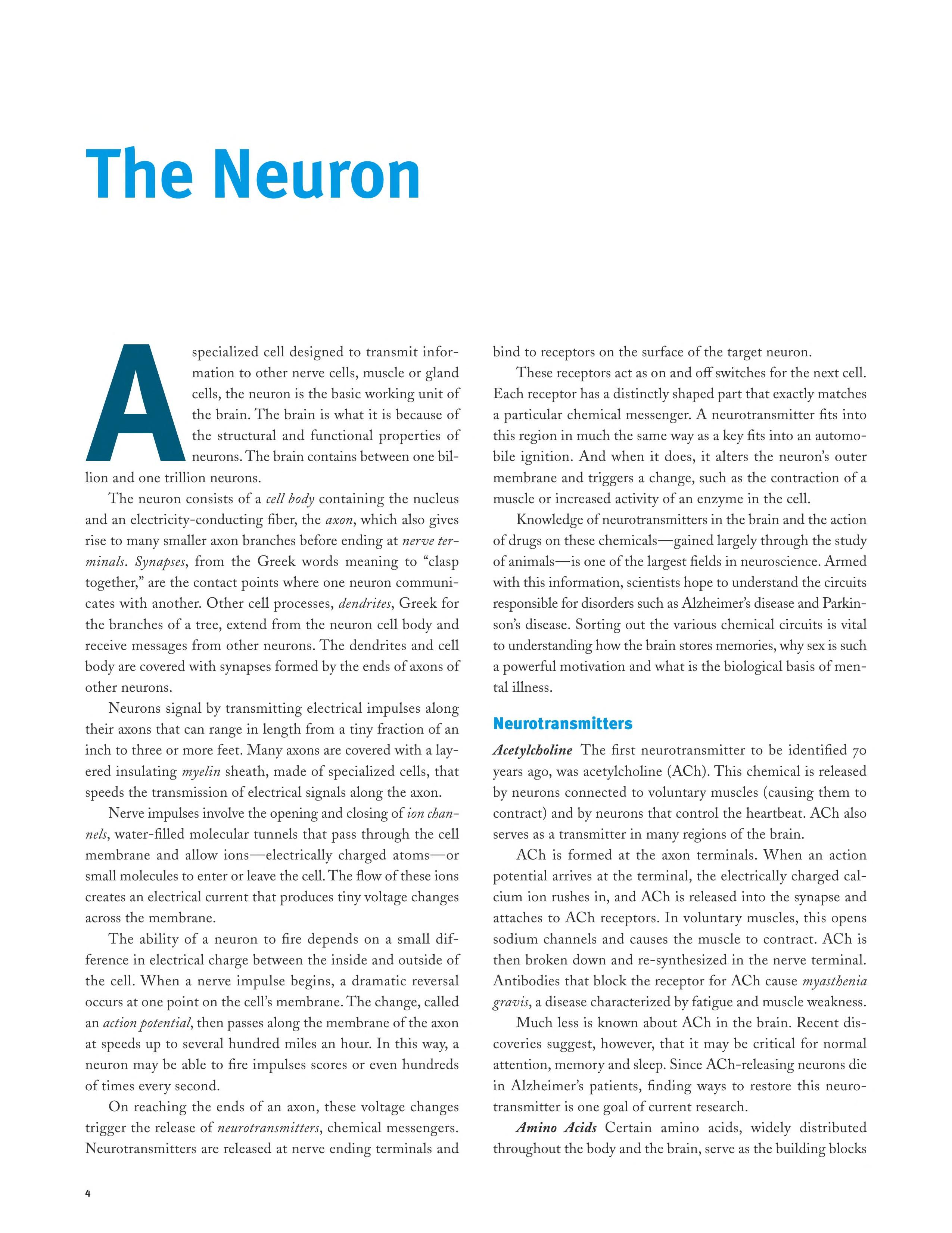 Brain facts cover
