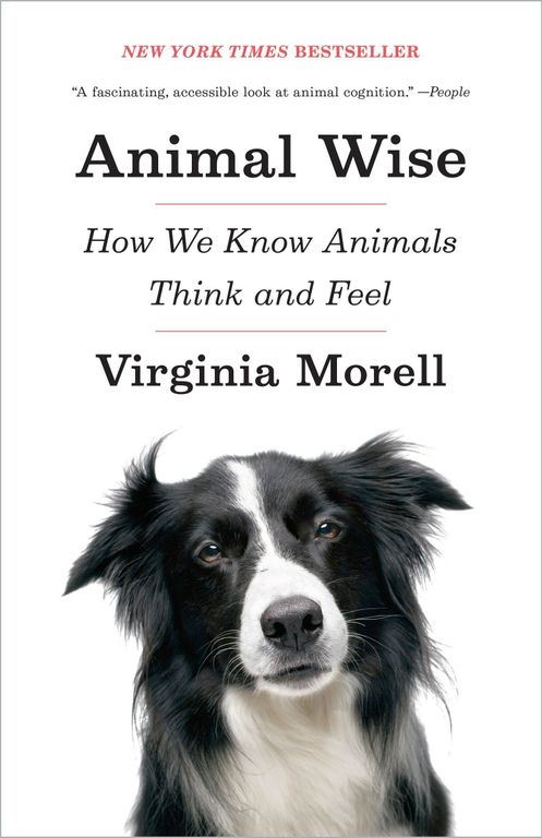 Animal Wise cover