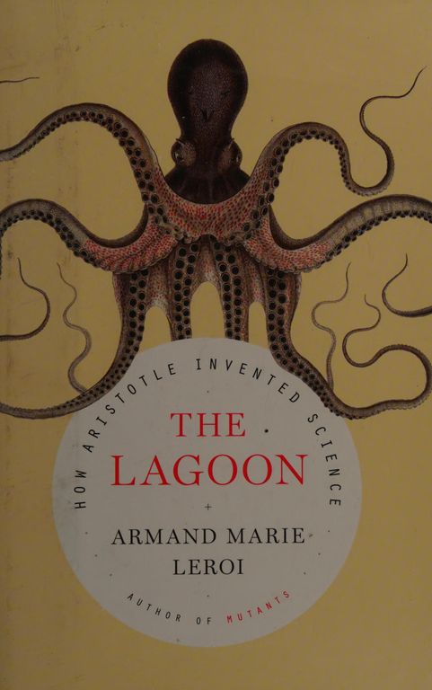 The lagoon cover