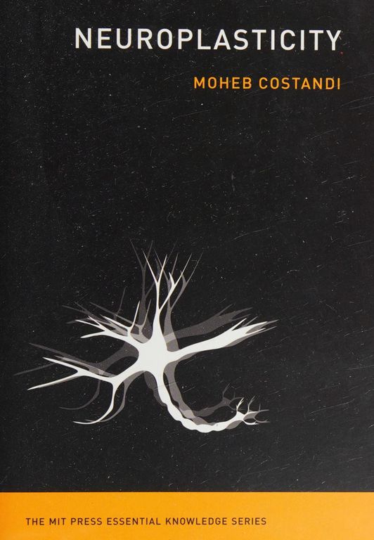 Neuroplasticity 封面