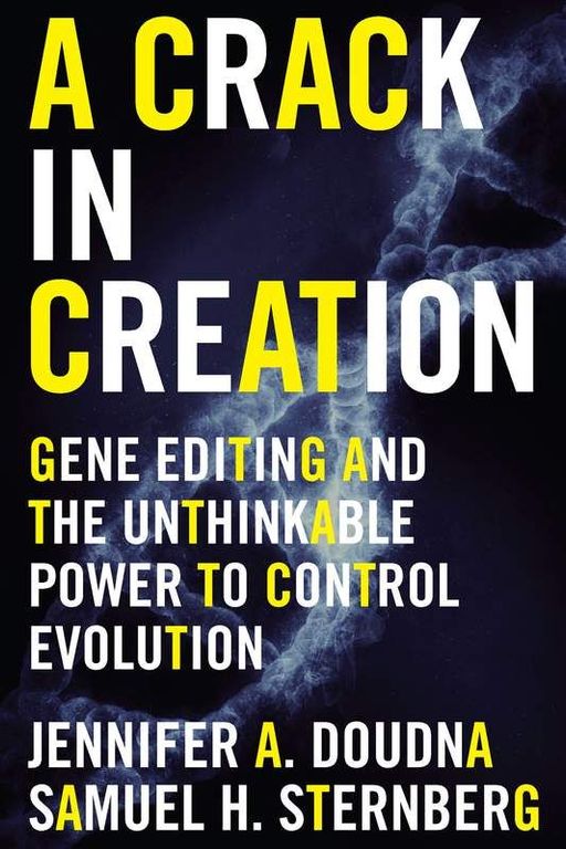 A Crack in Creation cover