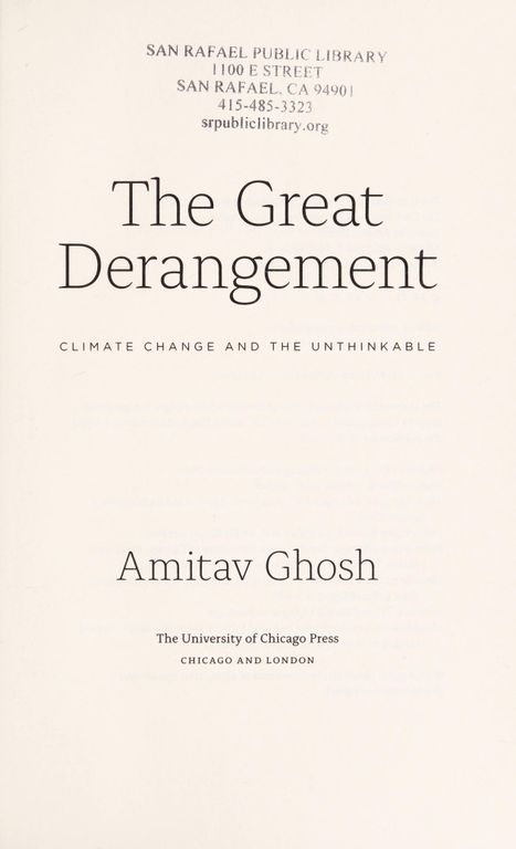The Great Derangement cover