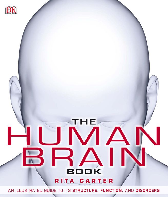 The human brain book cover