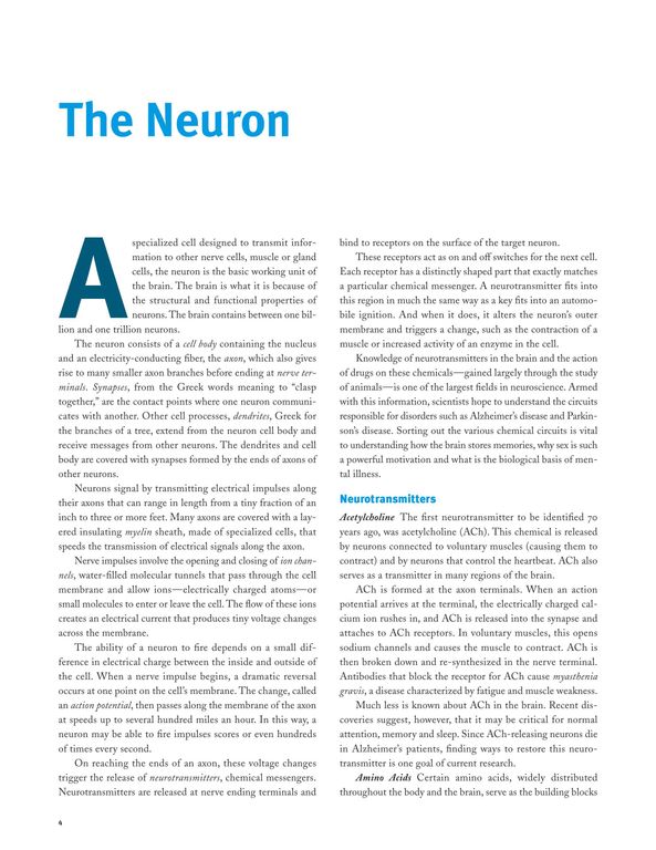 Brain facts cover