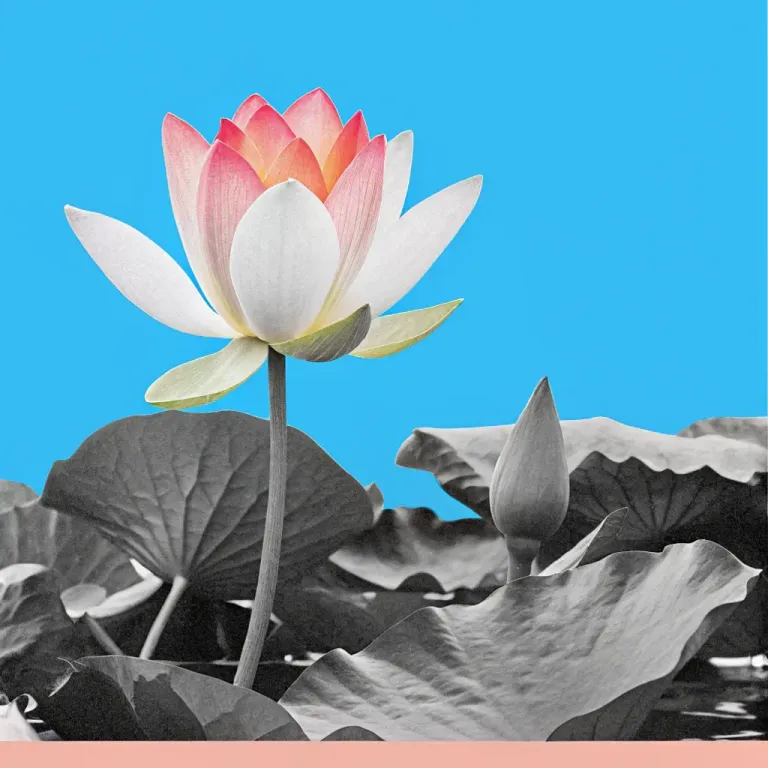 Mud & Bliss: Transform Your Suffering cover