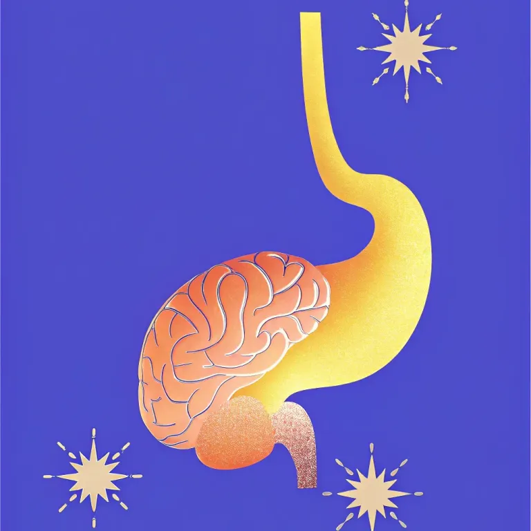 Gut Feelings: The Key to a Calmer You? cover