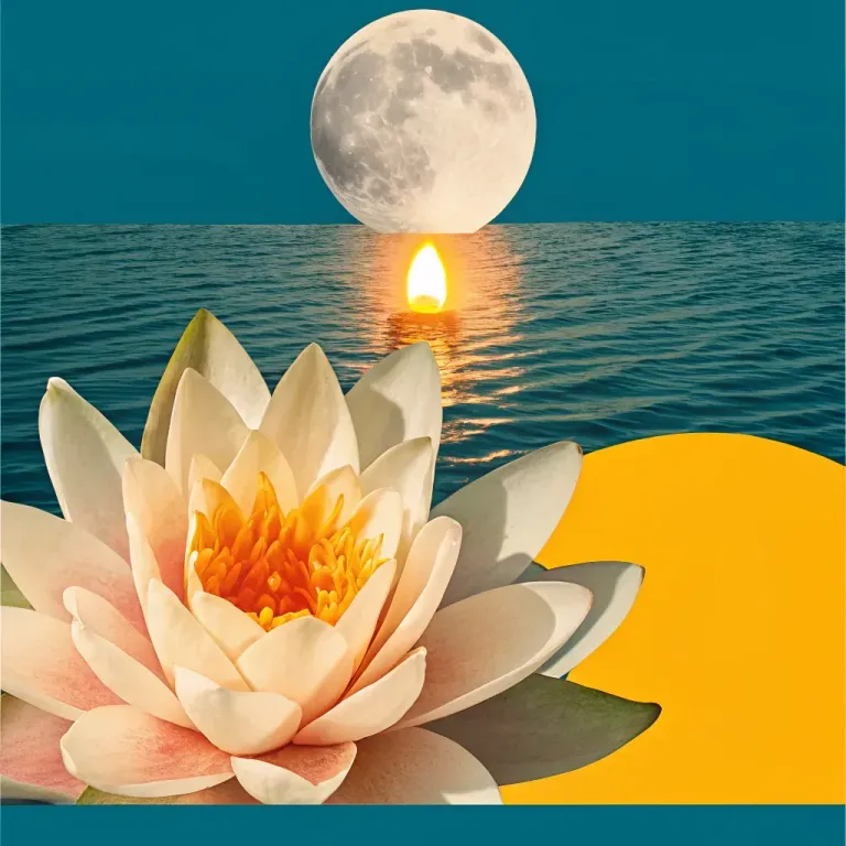 Meditate for Real Results: 6 Steps Forward cover