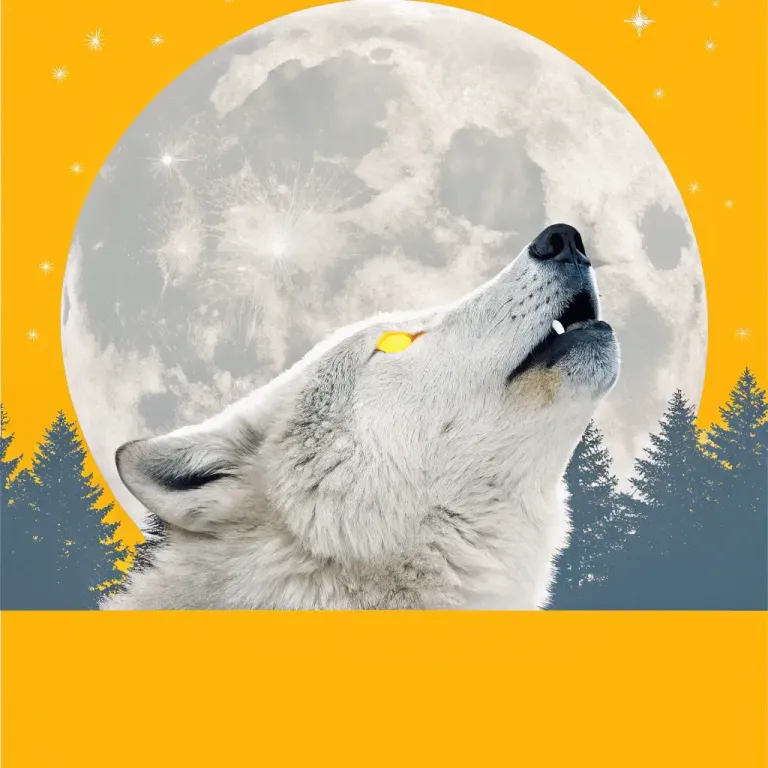Trust Your Gut: Reclaim Your Wild Power cover