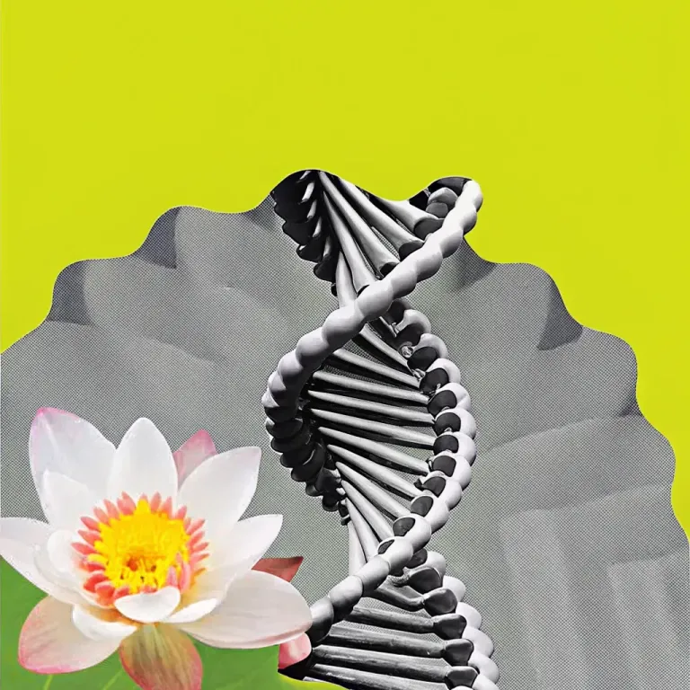 Midlife Reset: Find Joy Now! cover