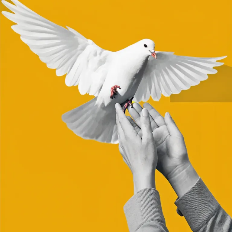 Freedom Found: The Art of Real Forgiveness cover