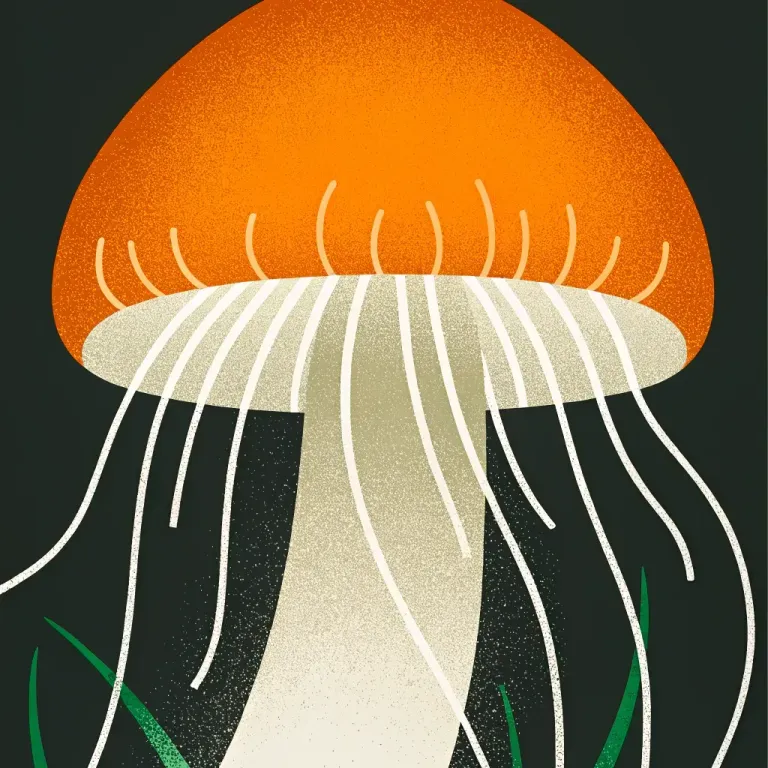 Nature's Internet: Secrets Underfoot cover