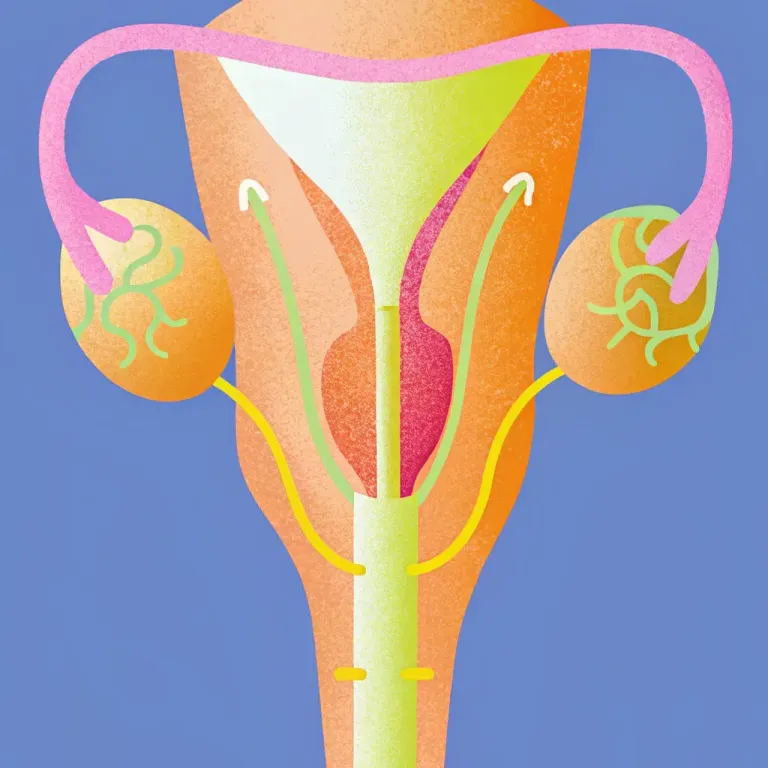 Pelvic Pain: Beyond the Physical Battle cover