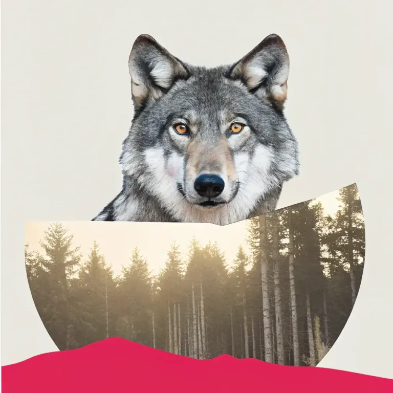 Tame Your "Fear Wolf": Lead Bravely Now! cover