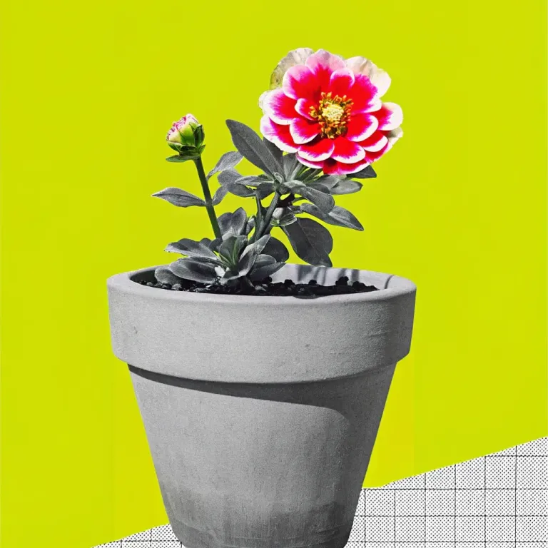 Beyond Bath Bombs: Real Self-Care cover