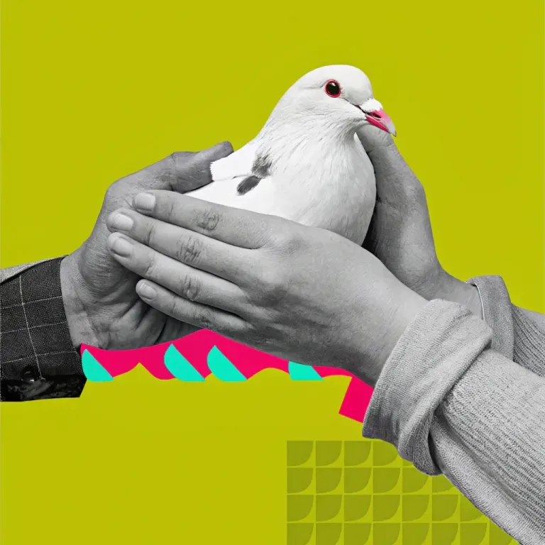 Stop Arguing, Start Connecting cover